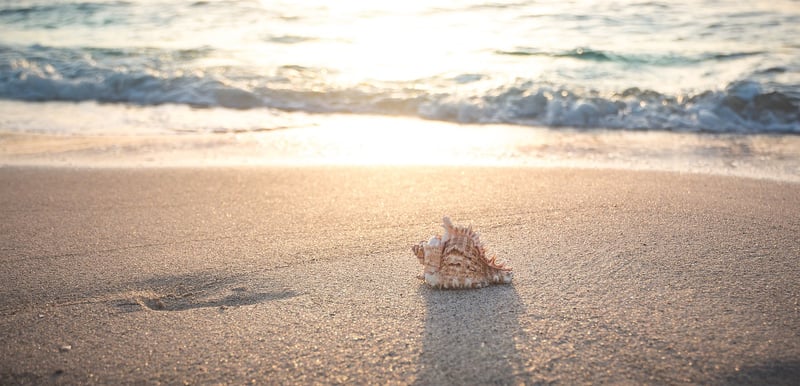 Beach Day